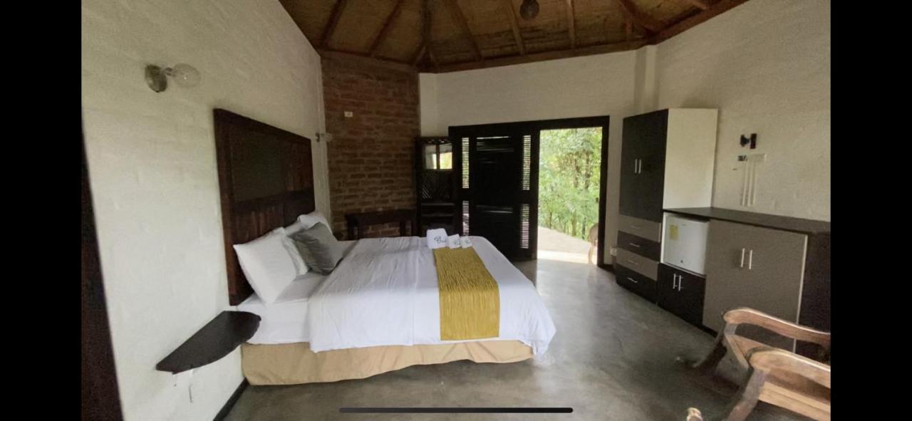 Amuntai Rainforest Lodge Palora エクステリア 写真