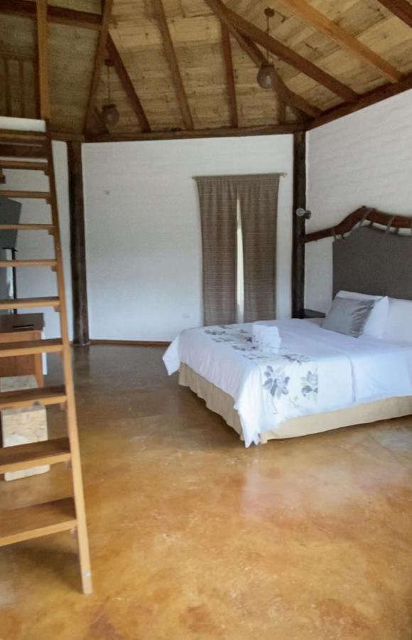Amuntai Rainforest Lodge Palora エクステリア 写真